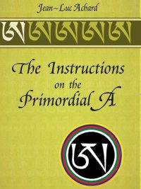 The Instructions on the Primordial A