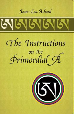 The Instructions on the Primordial A
