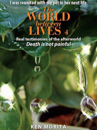 The World Between Lives 4