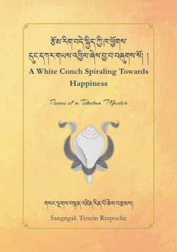 A White Conch Spiraling Towards Happiness
