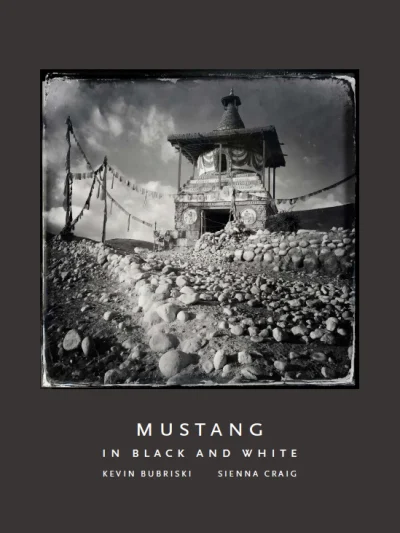 Mustang in Black and white