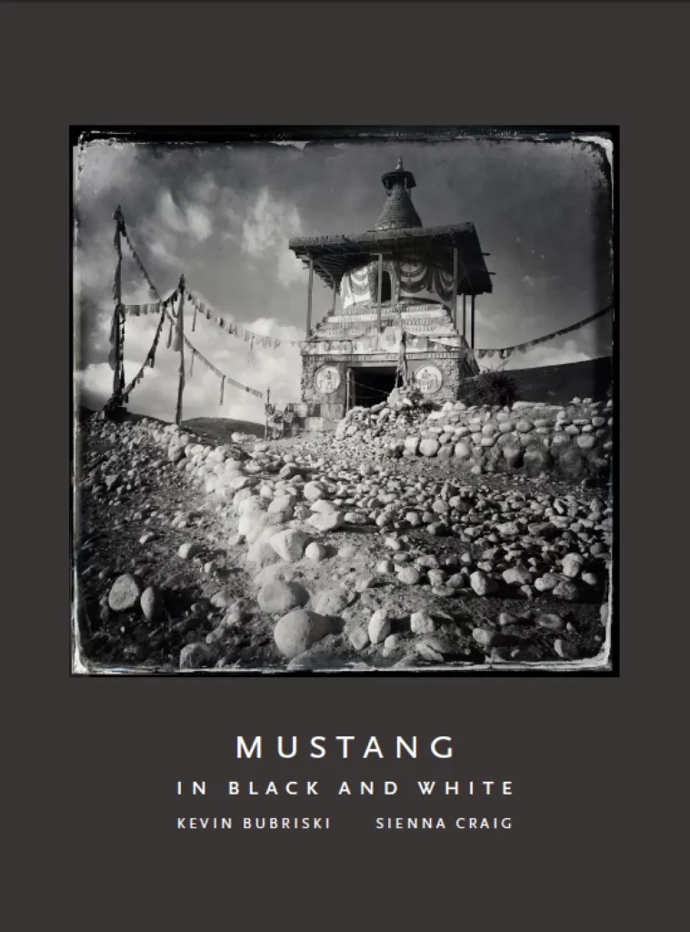 Mustang in Black and white