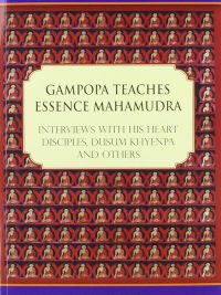 Gampopa Teaches Essence Mahamudra : interviews with his heart disciples dusum khyenpa and others