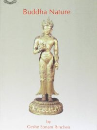 Buddha Nature