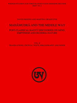 Mahamudra and the Middle Way : Post-Classical Kagyu Discourses on Mind, Emptiness and Buddha-Nature (Vol. 2)