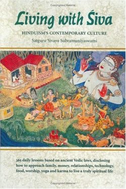 Living With Siva : Hinduism's Contemporary Culture