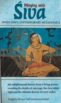 Merging With Siva : Hinduism's Contemporary Metaphysics