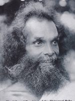 Long Pilgrimage : The Life and Teachings of the Shivapuri Baba