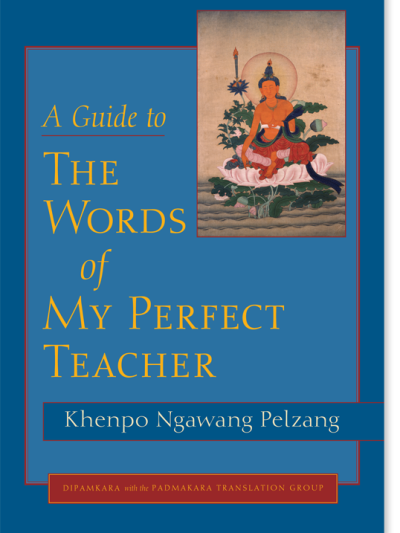 A Guide to the Words of My Perfect Teacher