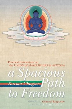A Spacious Path To Freedom : Practical Instructions on The Union of Mahamudra And Atiyoga