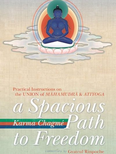 A Spacious Path To Freedom : Practical Instructions on The Union of Mahamudra And Atiyoga