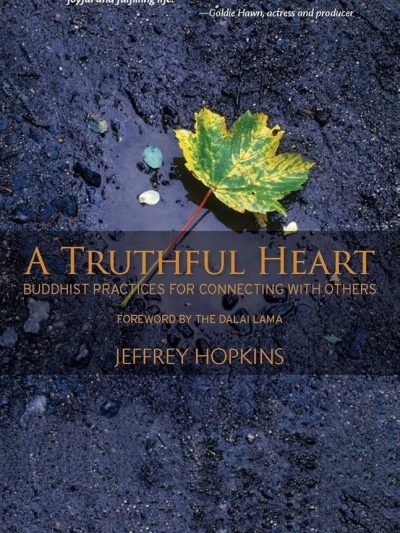 A Truthful Heart : Buddhist Practices For Connecting With Others