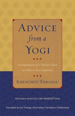 Advice From A Yogi : An Explanation of a Tibetan Classic on What Is Most Important