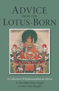 Advice from the Lotus Born : A Collection of Padmasambhava's Advice to the Dakini Yeshe Tsogyal and Other Close Disciples
