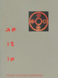 As It Is ( Volume 2)