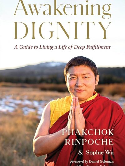 Awakening Dignity : A Guide To Living A Life Of Deep Fulfillment