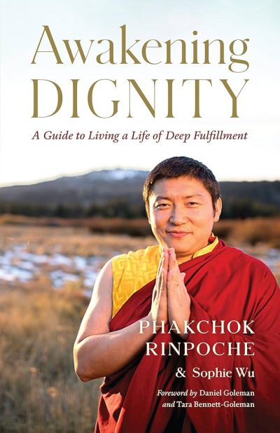 Awakening Dignity : A Guide To Living A Life Of Deep Fulfillment