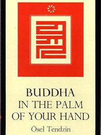 Buddha in the Palm of your Hand