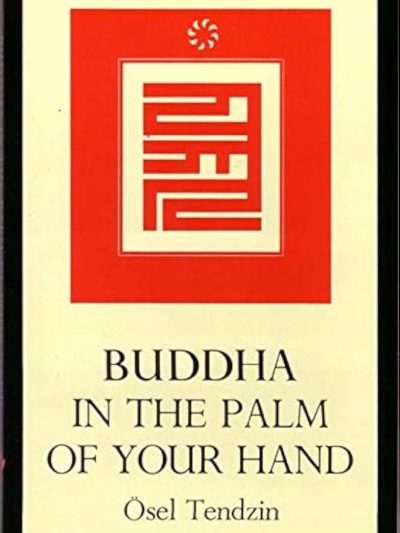Buddha in the Palm of your Hand