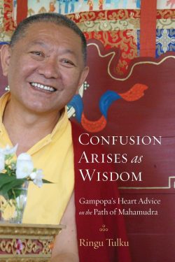 Confusion Arises as Wisdom : Gampopa's Heart Advice on the Path of Mahamudra