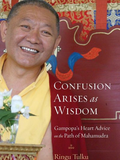 Confusion Arises as Wisdom : Gampopa's Heart Advice on the Path of Mahamudra