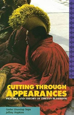 Cutting Through Appearances : Practices and Theory of Tibetan Buddhism