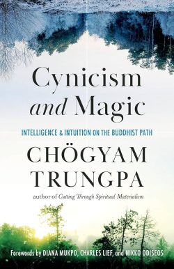 Cynicism and Magic : Intelligence and Institution on the Buddhist Path