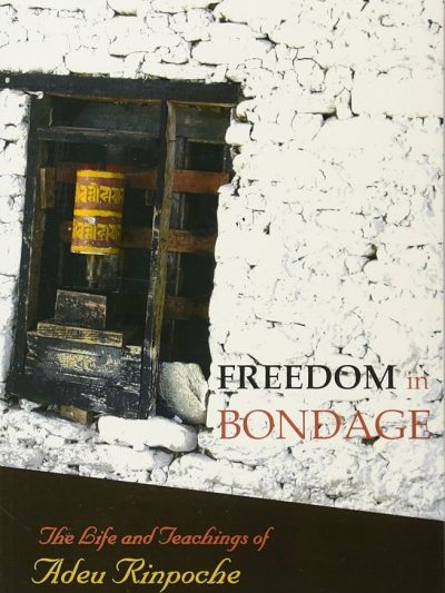 Freedom in Bondage : The Life and Teachings of Adeu Rinpoche