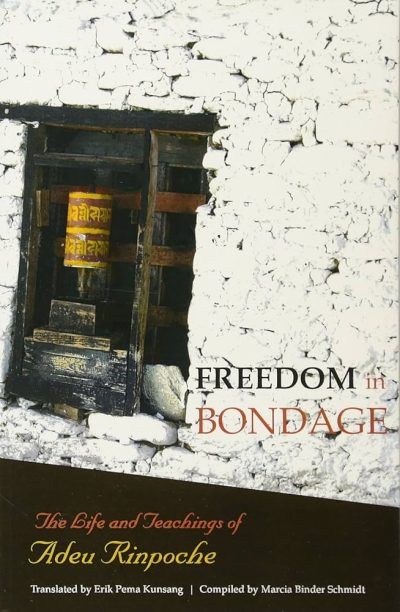 Freedom in Bondage : The Life and Teachings of Adeu Rinpoche