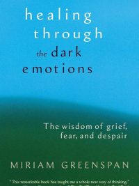 Healing Through the Dark Emotions : the Wisdom of Grief, Fear, And Despair