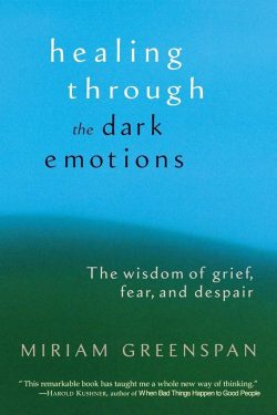 Healing Through the Dark Emotions : the Wisdom of Grief, Fear, And Despair
