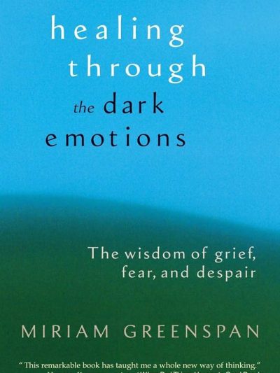 Healing Through the Dark Emotions : the Wisdom of Grief, Fear, And Despair