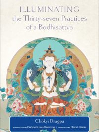 Illuminating the Thirty Seven Practices of a Bodhisattva