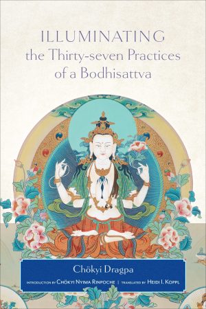 Illuminating the Thirty Seven Practices of a Bodhisattva