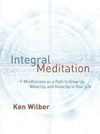 Integral Meditation : Mindfulness As A Path To Grow Up, Wake Up, And Show up in Your Life