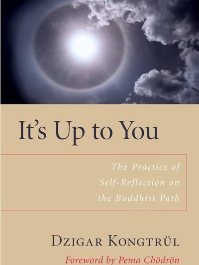 It's Up to You : The Practice of Self-Reflection on the Buddhist Path