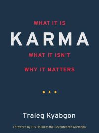 Karma : What It Is , What It Isn't, Why It Matters