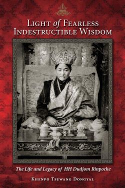 Light of Fearless Indestructible Wisdom : The Life And Legacy Of H.H. Dudjom Rinpoche