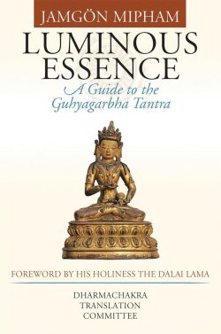 Luminous Essence : A Guide to the Guhyagarbha Tantra