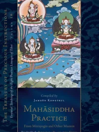 Mahasiddha Practice from Mitrayogin And Other Masters : Essential Teachings Of the Eight Practice Lineages Of Tibet Volume 16