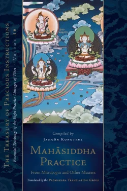 Mahasiddha Practice from Mitrayogin And Other Masters : Essential Teachings Of the Eight Practice Lineages Of Tibet Volume 16