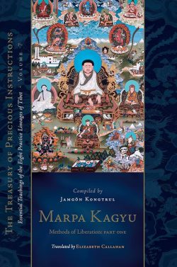 Marpa Kagyu : Methods Of Liberation Part One : Essential Teachings of The Eight Practice Lineages of Tibet Volume 7