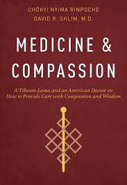 Medicine and Compassion : A Tibetan Lama and an American Doctor on How to provide care with Compassion and Wisdom