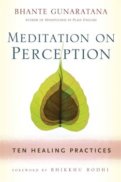 Meditation on Perception : Ten Healing Practices to Cultivate Mindfulness