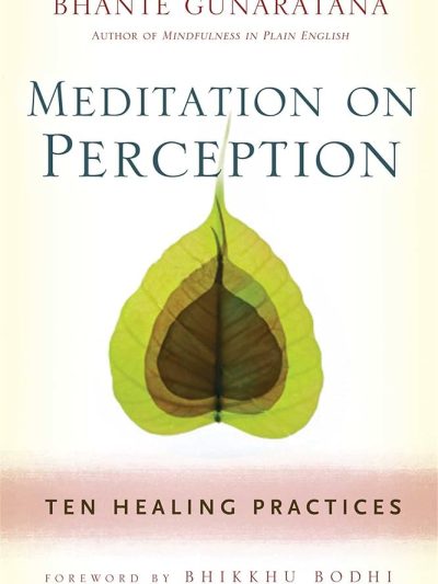 Meditation on Perception : Ten Healing Practices to Cultivate Mindfulness