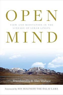Open Mind : View and Meditation in the Lineage of Lerab Lingpa