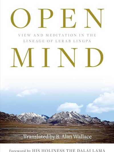 Open Mind : View and Meditation in the Lineage of Lerab Lingpa