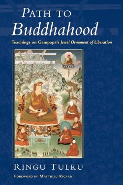 Path To Buddhahood : Teachings On Gampopa's Jewel Ornament of Liberation