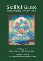 Skillful Grace : Tara Practice for Our Times