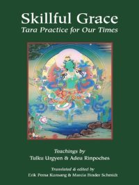 Skillful Grace : Tara Practice for Our Times